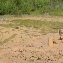 RyuuWammer: Quarry Clay Wallow 2024