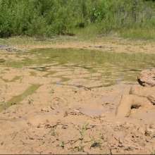 RyuuWammer: Quarry Clay Wallow 2024