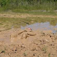 RyuuWammer: Quarry Clay Wallow 2024