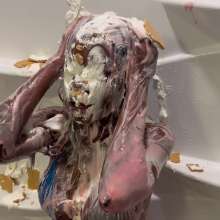 Splat Network: Ebony Goddess--Rose POV Slimed and Pied
