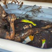 Wam Bagheera Studio: Sexy Laura First Time in The New Slime Pit