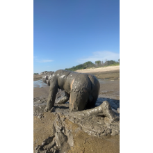 Daddydirtydog: Finally some good river mud