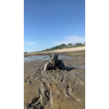 Daddydirtydog: Finally some good river mud