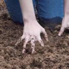 Jumpoff_Joe: The Peat Pet