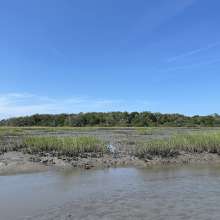 uyt: Scouting around for tidal mud