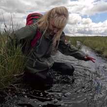 WetandMuddy: Video 105--Hippobottomus
