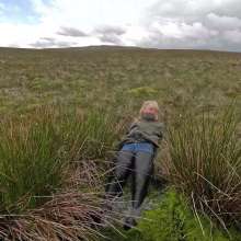 WetandMuddy: Video 105--Hippobottomus