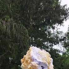 foampie77: 