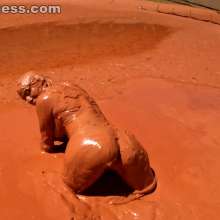 Jayce: White Clothes and Pantyhose Trashed in Thick, Smooth Mud!