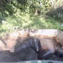 Darkabyss445: Darkabyss445 Back in the Mud Topless with Jeans
