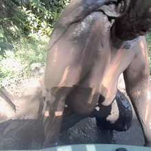 Darkabyss445: Darkabyss445 Back in the Mud Topless with Jeans