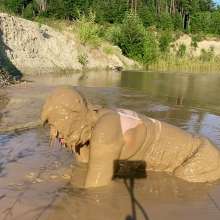 boychucker: Deep Under the Mud