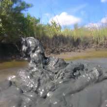 Goonology: Hunk in the Gunk