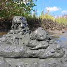 Goonology: Hunk in the Gunk