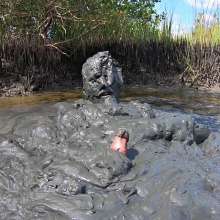 Goonology: Hunk in the Gunk