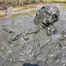 Goonology: Hunk in the Gunk