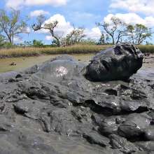 Goonology: Hunk in the Gunk
