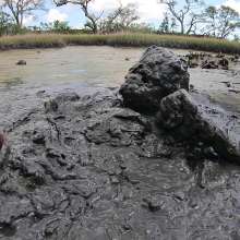 Goonology: Hunk in the Gunk