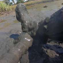 Goonology: Hunk in the Gunk