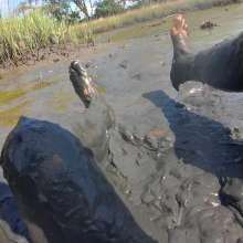 Goonology: Hunk in the Gunk