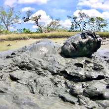 Goonology: Hunk in the Gunk
