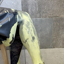 Sophies Heels: 