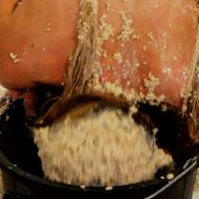HotWamHD: Jessie Is Goldilocks in Porridge and Syrup