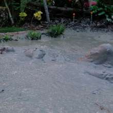 Larzstord: Muddy Anniversary