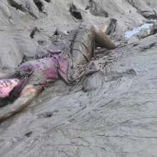 DungeonMasterOne: Mud Maude Pink Formal Sacrifice