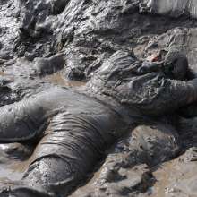 DungeonMasterOne: Rosemary's Denim Jumpsuit Mudbath