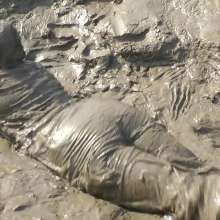 DungeonMasterOne: Rosemary's Denim Jumpsuit Mudbath