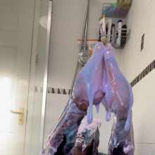 TheGungeZone: Sabrina's Messy Gunge Fun