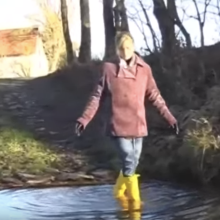 WariMD: Help identifying video origins