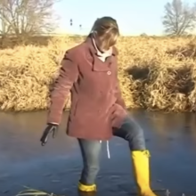 WariMD: Help identifying video origins