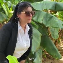 Wam Bagheera Studio: Overweening Real Estate Agent Trashed at Stinky Farm