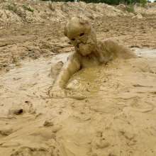 NynoGunge: Sport Puppy in Thick Mud