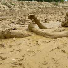 NynoGunge: Sport Puppy in Thick Mud