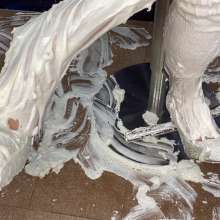 Wam Bagheera Studio: Sweet Bianca Misses Her Date Because a Pie Barrage