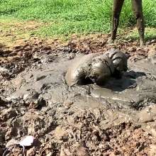 TannerQS: Tactical Femboy Vs Mud Monsters