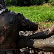 TannerQS: Tactical Femboy Vs Mud Monsters