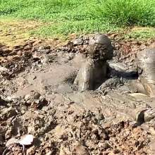 TannerQS: Tactical Femboy Vs Mud Monsters