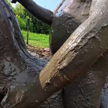 TannerQS: Tactical Femboy Vs Mud Monsters