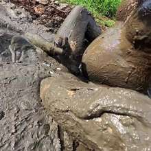 TannerQS: Tactical Femboy Vs Mud Monsters