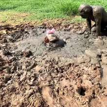 TannerQS: Tactical Femboy Vs Mud Monsters