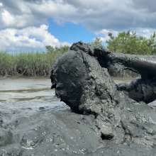 Goonology: Thick Coverage in Creamy Muck