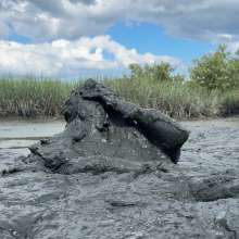 Goonology: Thick Coverage in Creamy Muck