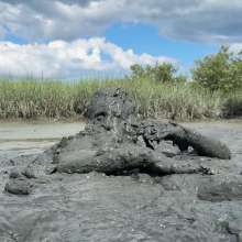 Goonology: Thick Coverage in Creamy Muck