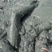 Goonology: Thick Coverage in Creamy Muck