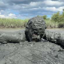 Goonology: Thick Coverage in Creamy Muck