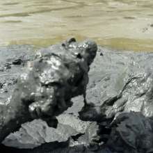 Goonology: Thick Coverage in Creamy Muck